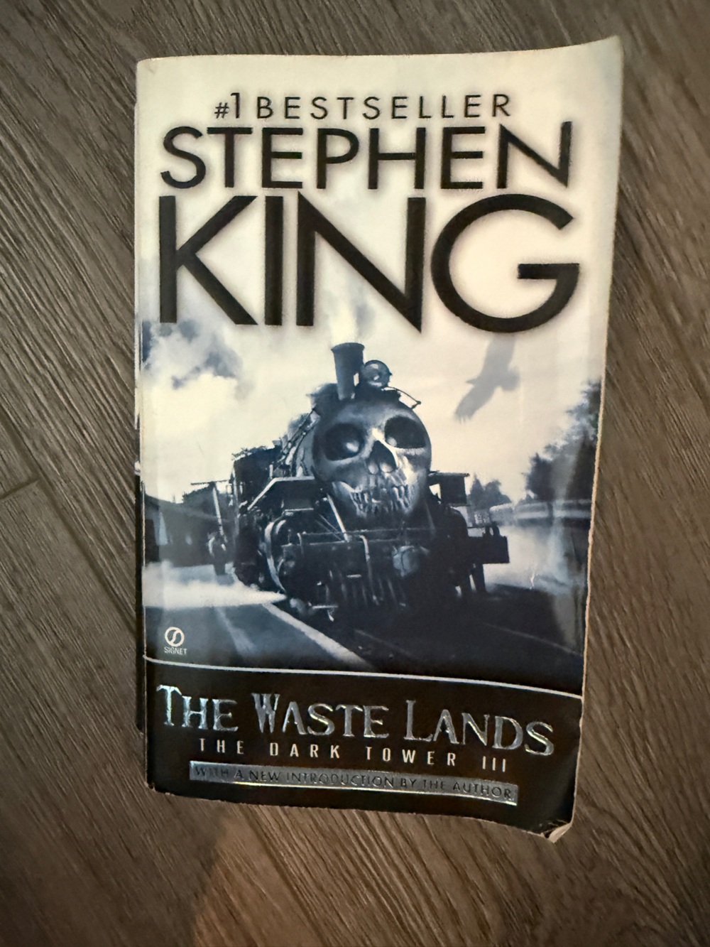 The Wastelands by - Blue/Gray Decorative Book Cover Pillowcase